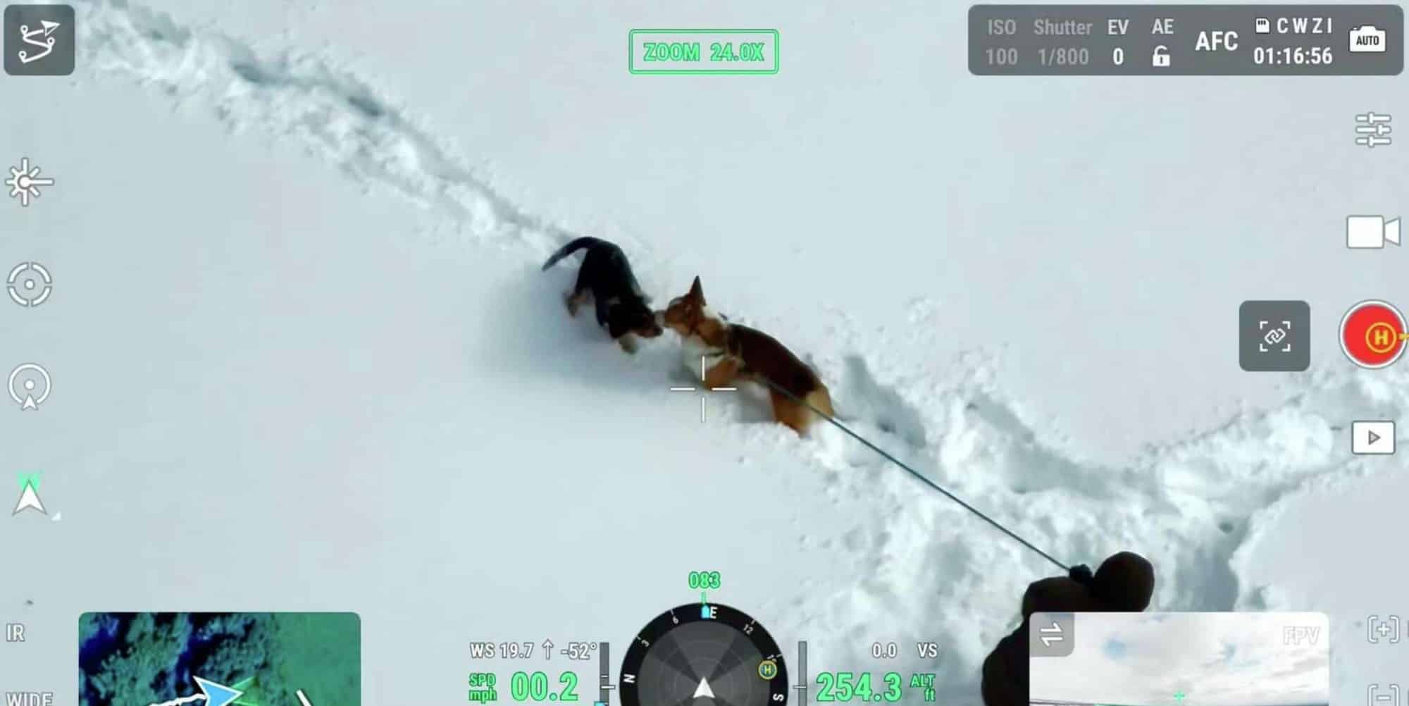 Missing Pet? Ny Drone Expert Has 90% Success Rate 1
